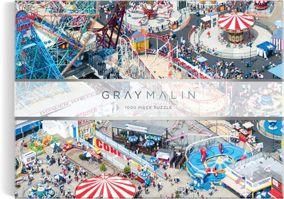 1000 Piece Puzzle | Gray Malin Coney island Fun Chronicle  Paper Skyscraper Gift Shop Charlotte