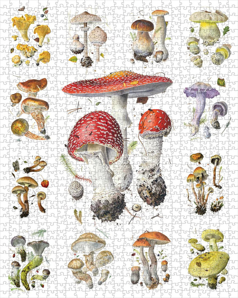 1000 Piece Puzzle | Mushrooms: Alexander Viazmensky Puzzles Pomegranate  Paper Skyscraper Gift Shop Charlotte