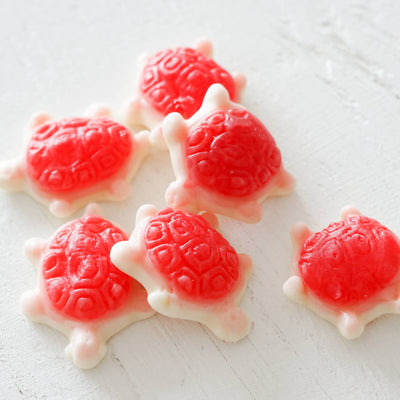 Sea Turtles - Gummy Candies Candy La boîte à bonbons  Paper Skyscraper Gift Shop Charlotte