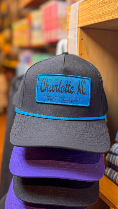 Charlotte Panther Blue Hat Apparel & Accessories - Hats Happy By Rachel LLC Paper Skyscraper Gift Shop Charlotte