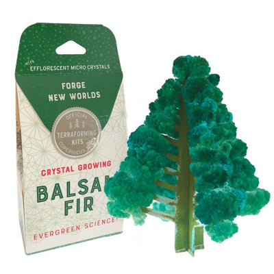 Crystal Growing: Balsam Fir Kids Learning Copernicus Toys Paper Skyscraper Gift Shop Charlotte