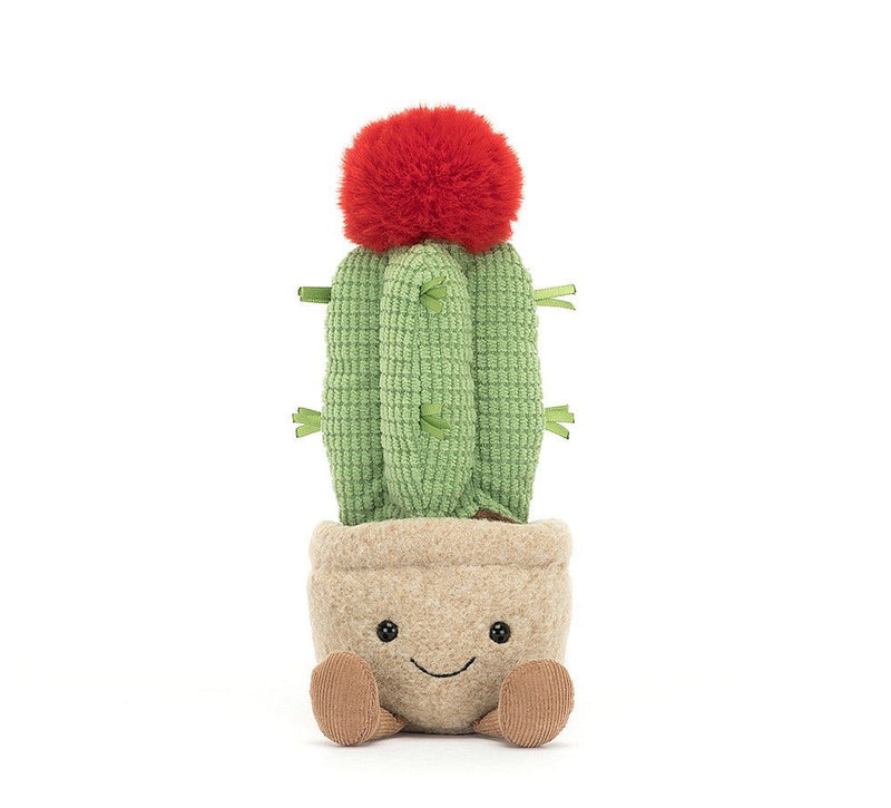 Amuseable Moon Cactus Stuffed Animals Jellycat  Paper Skyscraper Gift Shop Charlotte