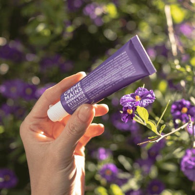 Aromatic Lavender Travel Hand Cream Beauty & Wellness Compagnie de Provence  Paper Skyscraper Gift Shop Charlotte