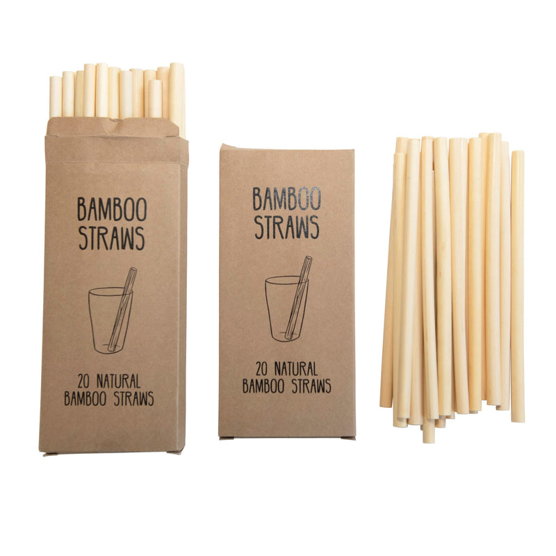 Bamboo Single Use Drinking Straws, Set of 20  Creative Co-Op  Paper Skyscraper Gift Shop Charlotte