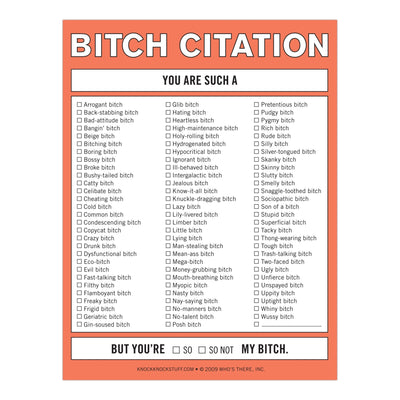 Bitch Citation Notepad Notepads Knock Knock  Paper Skyscraper Gift Shop Charlotte