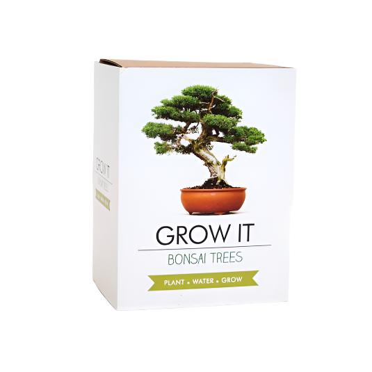 Bonsai Trees Grow It Garden Gift Republic  Paper Skyscraper Gift Shop Charlotte