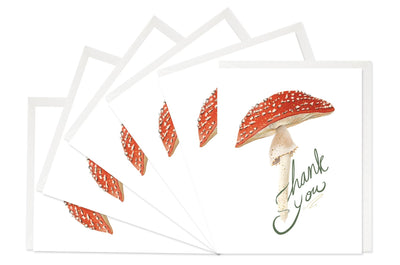 Boxed Set of Thank You Cards | Mushroom Boxed Cards Good Juju Ink  Paper Skyscraper Gift Shop Charlotte