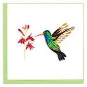 Broad-billed Hummingbird Cards Quilling Card  Paper Skyscraper Gift Shop Charlotte