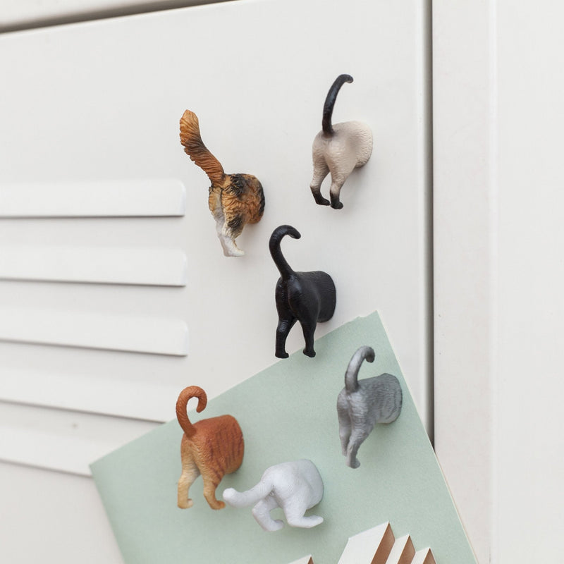 Cat Butt Magnets | Set of 6 Magnets Kikkerland  Paper Skyscraper Gift Shop Charlotte