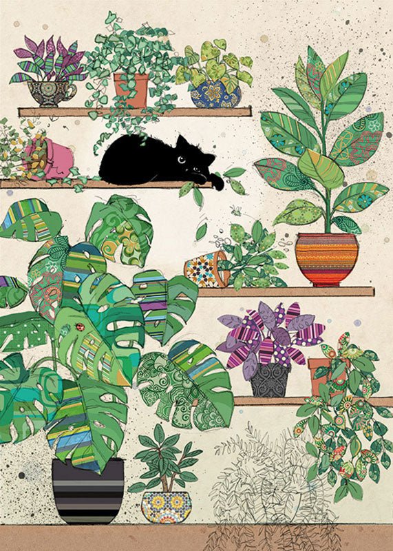 Cat Plants Blank Card Cards Notes & Queries  Paper Skyscraper Gift Shop Charlotte