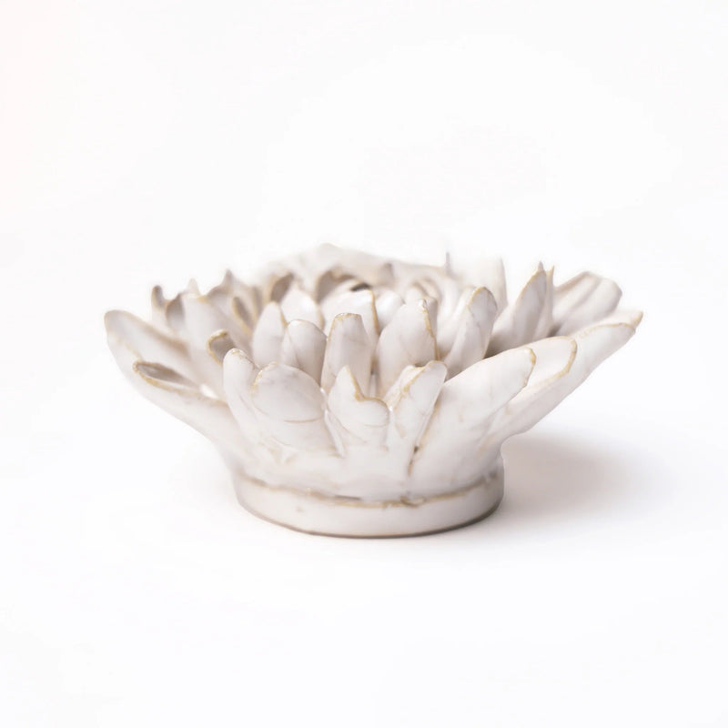 Chrysanthemum Ivory Ceramic Flower Home Decor Chive Paper Skyscraper Gift Shop Charlotte