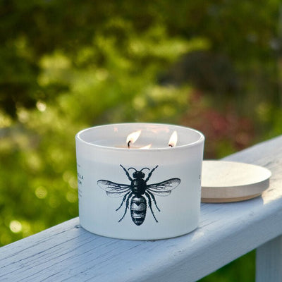 Citronella 3-Wick Candle Candles Skeem Design  Paper Skyscraper Gift Shop Charlotte