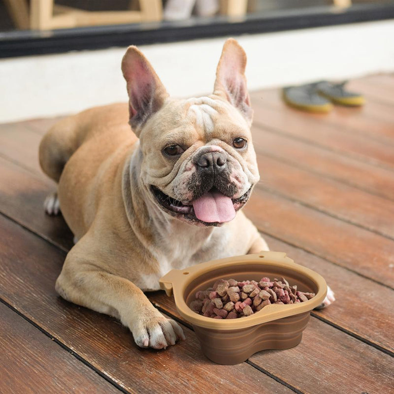 Collapsible Dog Bowl Pets Fred & Friends  Paper Skyscraper Gift Shop Charlotte