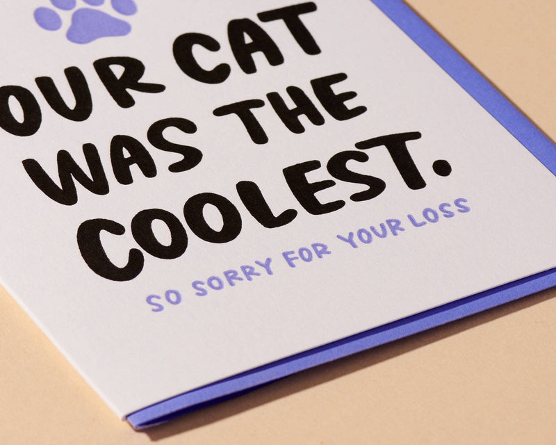 Coolest Cat Letterpress Card - Pet Loss, Sympathy Cards And Here We Are  Paper Skyscraper Gift Shop Charlotte