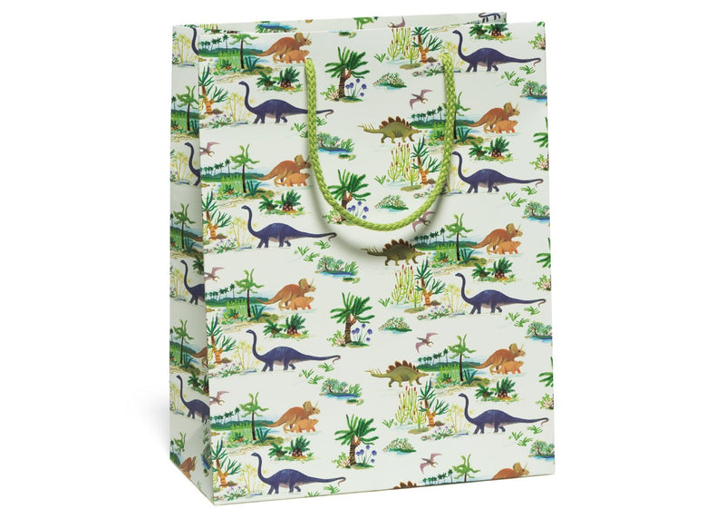 Dinosaurs gift bag Cards Red Cap Cards  Paper Skyscraper Gift Shop Charlotte