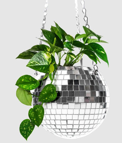 Disco Hanging Planter Home Decor NPW  Paper Skyscraper Gift Shop Charlotte