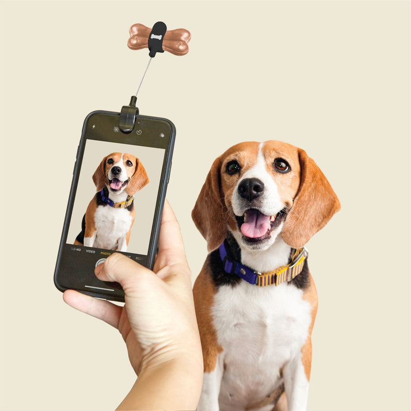 Dog Treat Selfie Clip Pets Kikkerland  Paper Skyscraper Gift Shop Charlotte