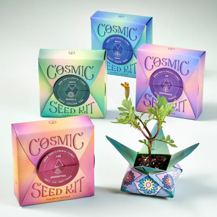 Earth Cosmic Seed Pack Garden Modern Sprout  Paper Skyscraper Gift Shop Charlotte