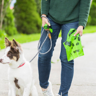 Eco Friendly Doggy Poo Bags Pets Kikkerland  Paper Skyscraper Gift Shop Charlotte