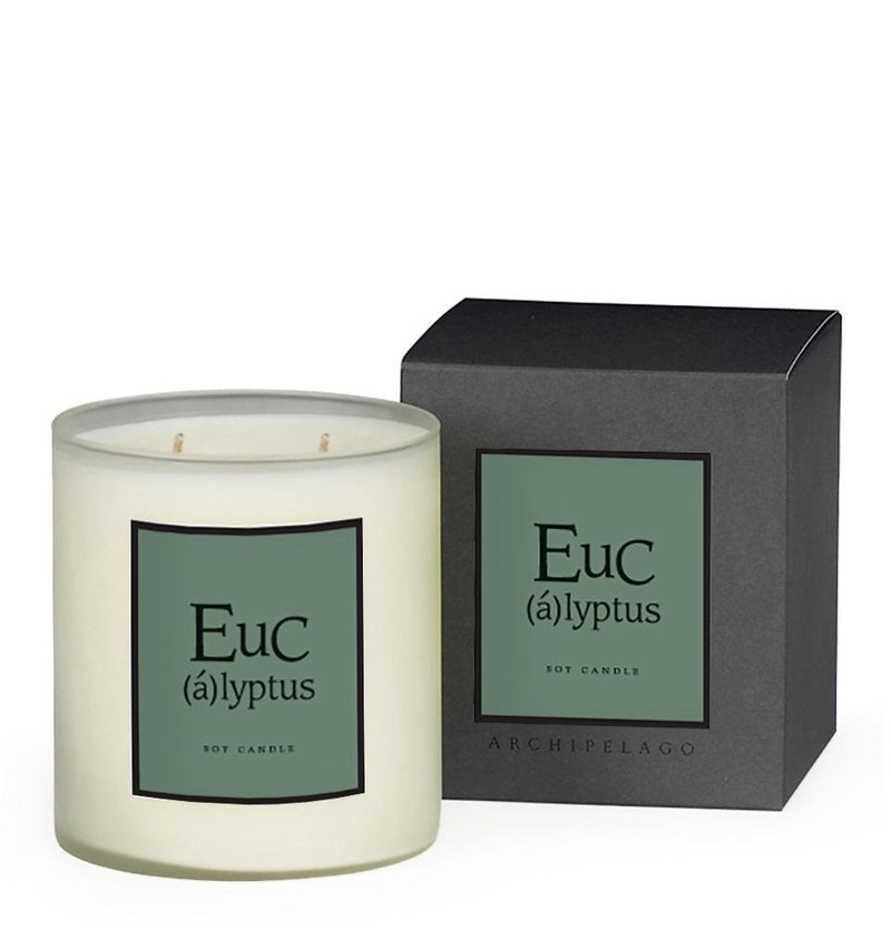 Eucalyptus Home Candle | 14 oz Candles Archipelago  Paper Skyscraper Gift Shop Charlotte