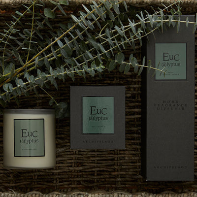 Eucalyptus Jar Candle Candles Archipelago  Paper Skyscraper Gift Shop Charlotte