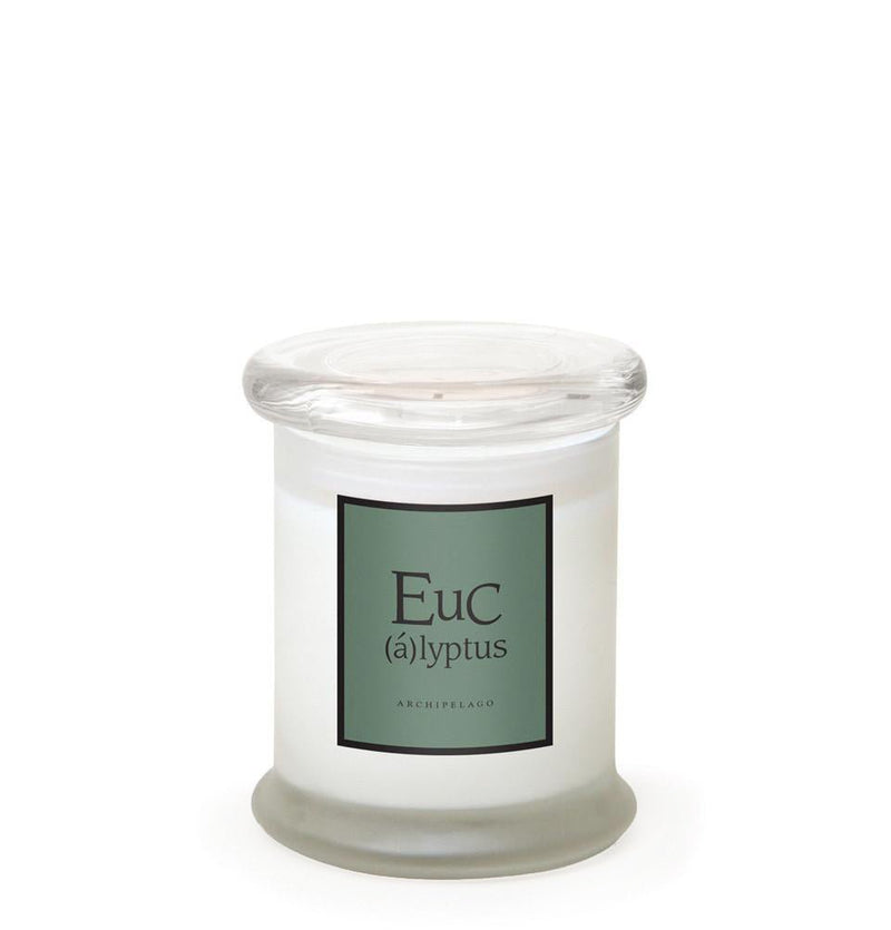 Eucalyptus Jar Candle Candles Archipelago  Paper Skyscraper Gift Shop Charlotte