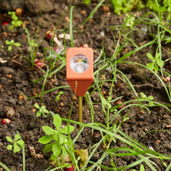 Garden Hydrometer Garden Kikkerland  Paper Skyscraper Gift Shop Charlotte