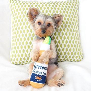 Grrrona Beer Dog Toy | XL Pets Haute Diggity Dog  Paper Skyscraper Gift Shop Charlotte