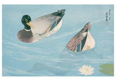 Hashiguchi Goyo Ducks Notecard Cards Pomegranate  Paper Skyscraper Gift Shop Charlotte