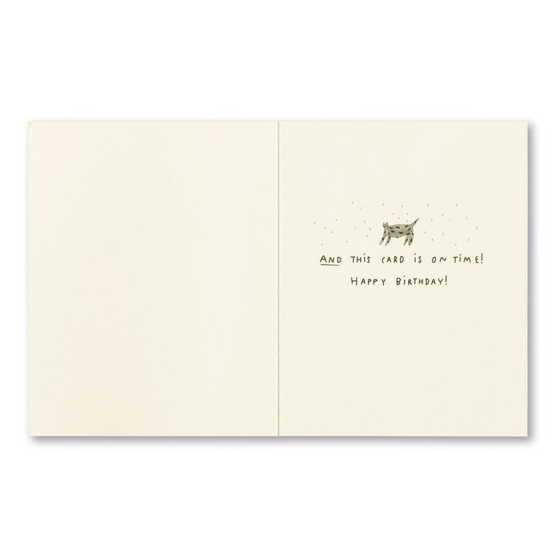 In a Perfect World, It Rains Kittens On Your Birthday | Belated Birthday Card Cards Love Muchly  Paper Skyscraper Gift Shop Charlotte