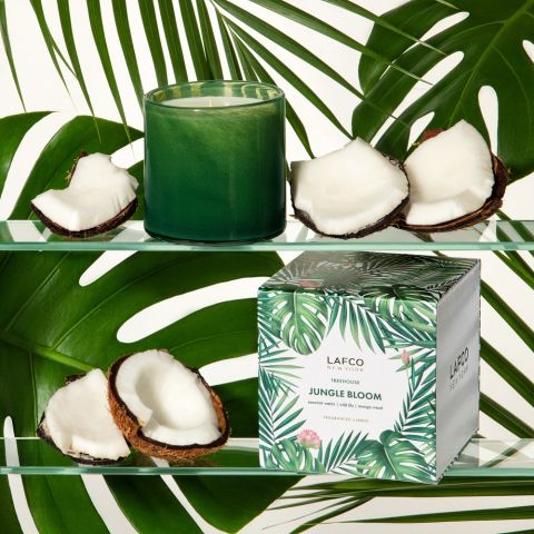 Jungle Bloom | Signature 15.5oz Candle Candles Lafco  Paper Skyscraper Gift Shop Charlotte