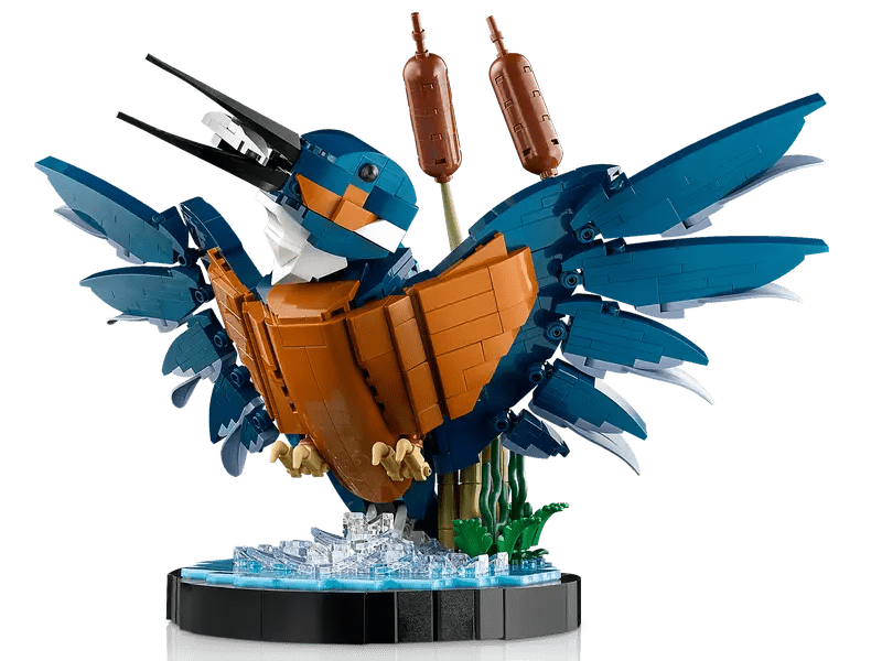 LEGO Icons Fauna Kingfisher Lego LEGO  Paper Skyscraper Gift Shop Charlotte