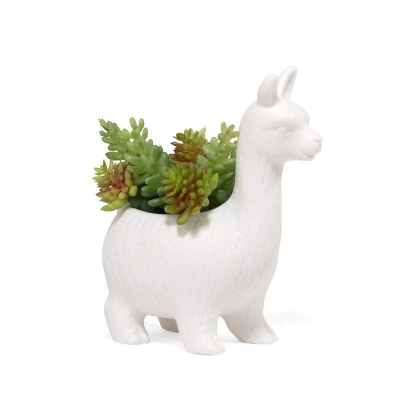 Lloyd the Llama Planter Vases & Planters Kikkerland  Paper Skyscraper Gift Shop Charlotte