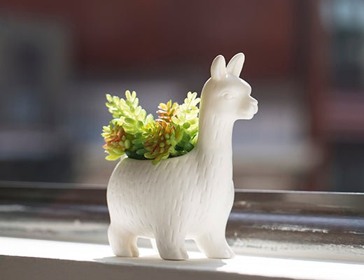 Lloyd the Llama Planter Vases & Planters Kikkerland  Paper Skyscraper Gift Shop Charlotte