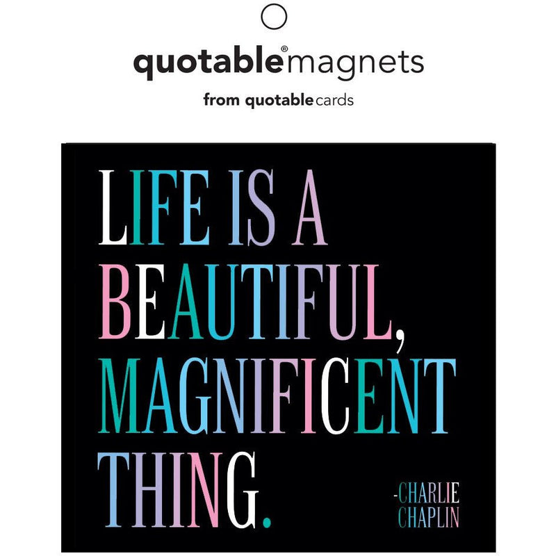 Magnet | Life is a Beautiful Thing Magnets quotable cards  Paper Skyscraper Gift Shop Charlotte