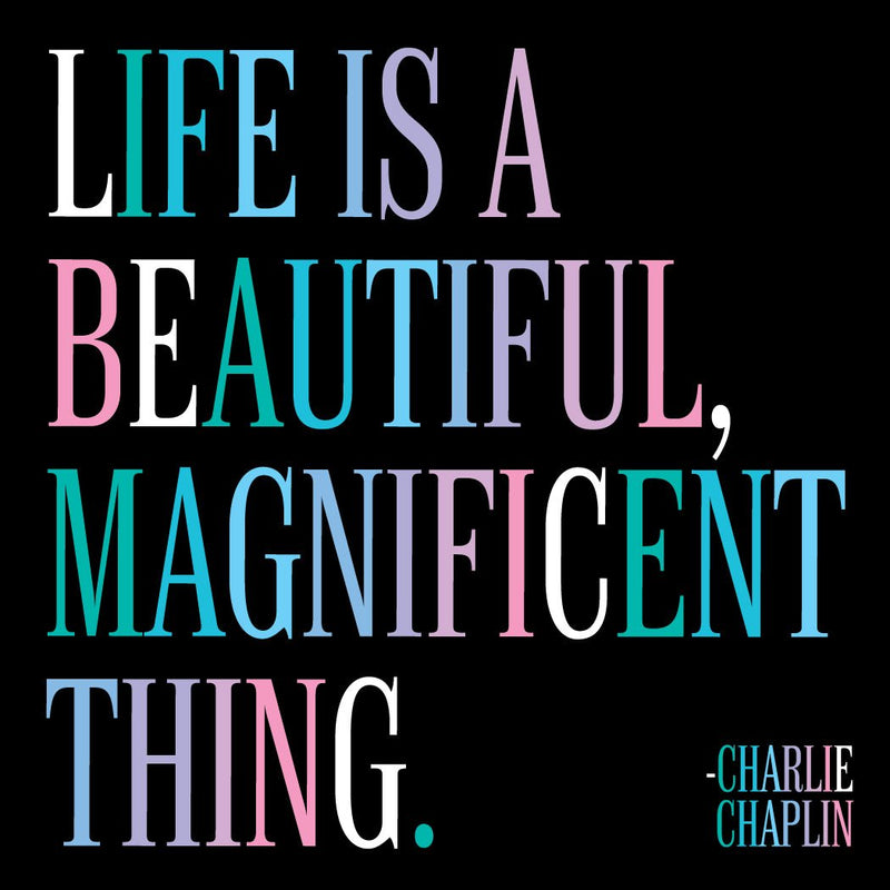 Magnet | Life is a Beautiful Thing Magnets quotable cards  Paper Skyscraper Gift Shop Charlotte