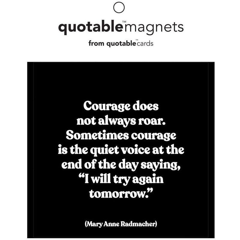 Magnet | Radmacher Try Again Magnets quotable cards  Paper Skyscraper Gift Shop Charlotte