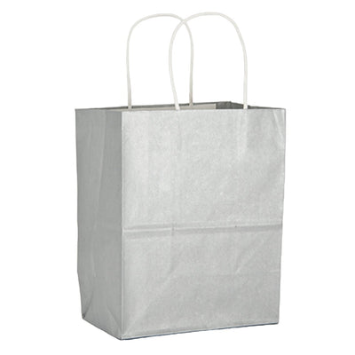 Metallic Silver Paper Gift Bag  Carolina Retail Packaging  Paper Skyscraper Gift Shop Charlotte