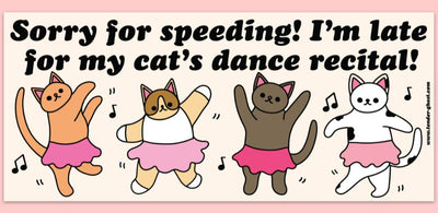 My Cat's Dance Recital Bumper Magnet  Tender Ghost  Paper Skyscraper Gift Shop Charlotte