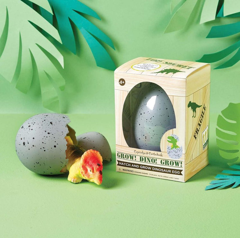 Mystery Growing Dino in Egg in Gift Box  Two&