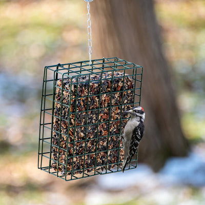 Neat Feeders | Mr. Bird gardening Mr. Bird  Paper Skyscraper Gift Shop Charlotte