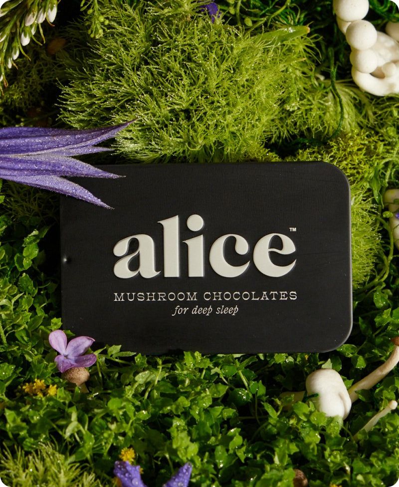 Nightcap — mushroom chocolates for deep sleep  Alice Mushrooms  Paper Skyscraper Gift Shop Charlotte