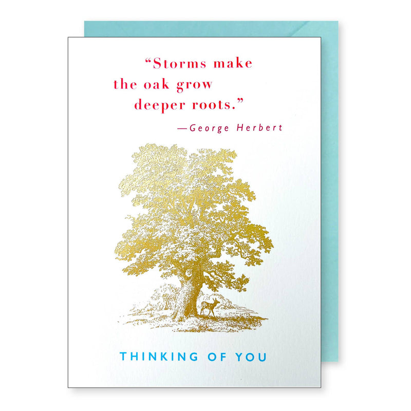 Oak Tree | Thinking of You Card Cards J.Falkner Cards  Paper Skyscraper Gift Shop Charlotte