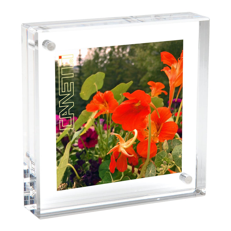 Original Magnet Frame: 4"x4" Photo Frames Canetti Design Group  Paper Skyscraper Gift Shop Charlotte