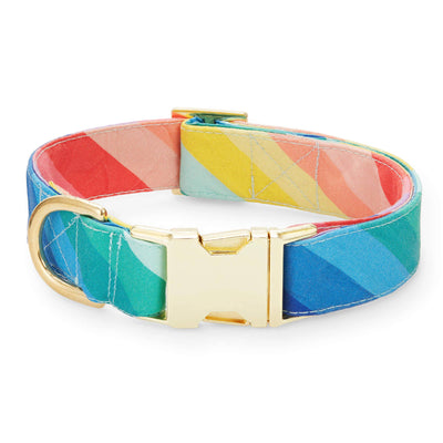 Over the Rainbow Dog Collar: Medium  The Foggy Dog  Paper Skyscraper Gift Shop Charlotte