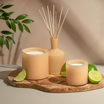 Paloma Melon 15.5oz Candle  Lafco  Paper Skyscraper Gift Shop Charlotte