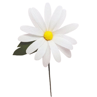 Paper Daisy: White  Love, Anji  Paper Skyscraper Gift Shop Charlotte