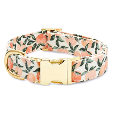 Peaches and Cream Dog Collar: XS/ Gold  The Foggy Dog  Paper Skyscraper Gift Shop Charlotte