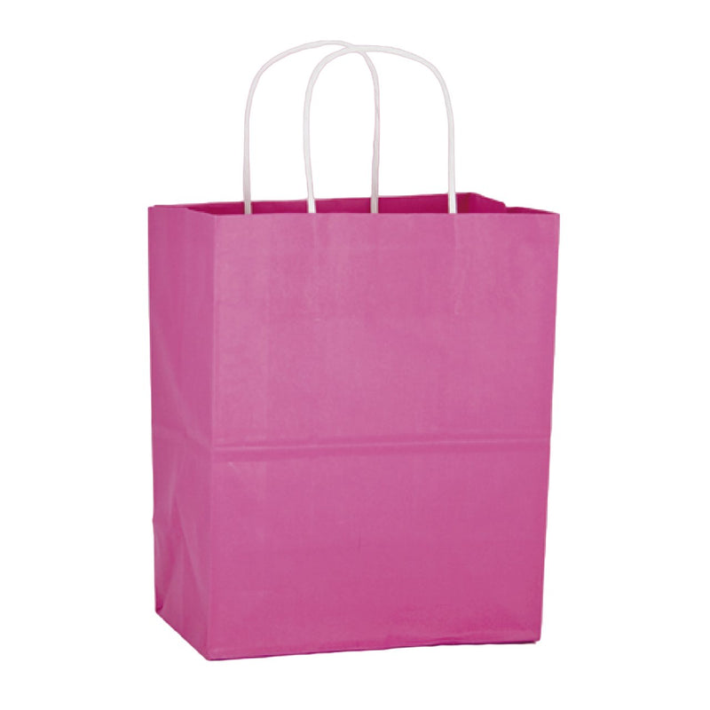 Pink Paper Gift Bag Bags Carolina Retail Packaging  Paper Skyscraper Gift Shop Charlotte