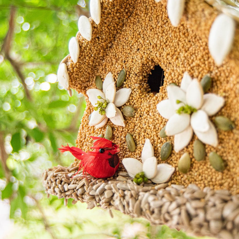 Poinsettia Bird House Holiday Mr. Bird  Paper Skyscraper Gift Shop Charlotte